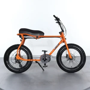Aanbieding Ruff Cycles Lil Buddy
