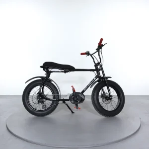 Beperkt Aanbod Ruff Cycles Lil'buddy