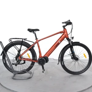 Hete Deal T-Bird Golden Gate Sport