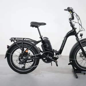 Rad Power Bikes RadExpand 5 Beste Prijs
