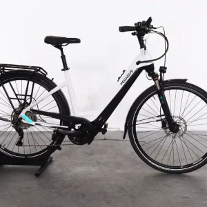 Veilige Betaling Pegasus Premio Evo 10