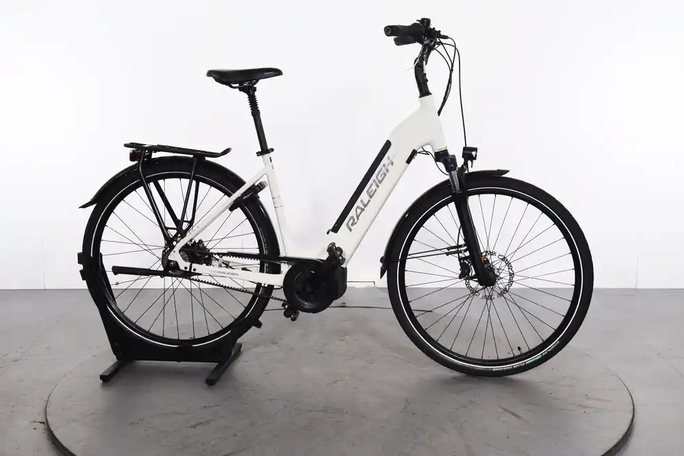 Premium Raleigh Bristol XXL