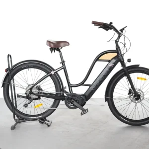 Woodee Bikes Coastliner Swan Laatste Versie