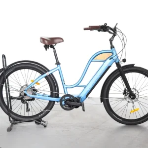 Nu Kopen Woodee Bikes Coastliner Swan