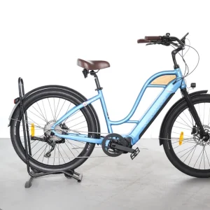 Woodee Bikes Coastliner Swan Direct Verzonden