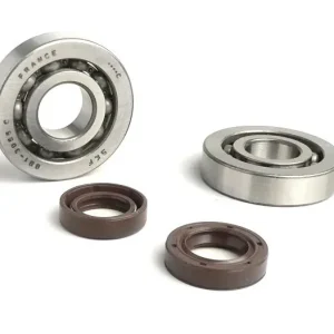 LagerSet Keerringset voor Krukas BGM Originele Piaggio 50cc 2-Takt Koopje