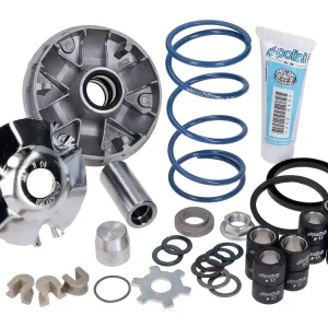 Vario Polini Hi-Speed Evolution 2 voor Piaggio Fabrieksprijs