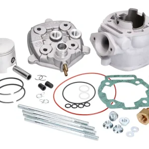 Betaalbaar Cilinderkit Malossi MHR Replica 79cc 50mm voor D50B0, D50B1