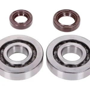 Op = Op Krukaslager Set Naraku SKF, FKM Premium C3 voor Peugeot verticaal Euro1