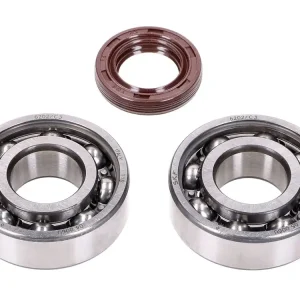 Krukaslager Set Schmitt FKM Premium -C3- voor Piaggio Ciao, Bravo, Boxer Lage Prijs