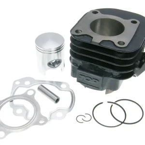 Koop Vandaag Cilinderkit Top Performances Trophy 50cc voor Minarelli horizontaal AC
