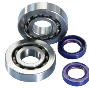 Nu Kopen Krukaslager Set Polini voor Piaggio, Vespa, Gilera, Aprilia, Derbi