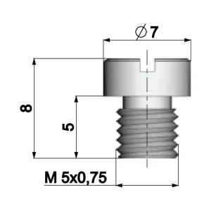 Carburateur Hoofdsproeier Polini 5mm voor Dellorto Carburateur - 94 Finale Uitverkoop