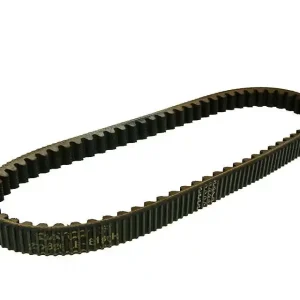 V-snaar Dayco 826-22 Power Plus voor Vespa, Piaggio, Malaguti, Aprilia 180-200cc Betrouwbaar