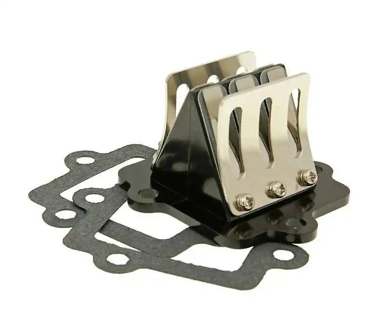 Must-Have Membraan Racing 6-Klappen voor Minarelli horizontaal, CPI, Keeway, 1E40QMB