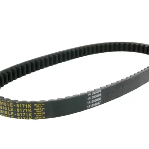 Superprijs V-snaar Dayco 816-18,8 Power Plus voor SYM Joyride, Malaguti F18