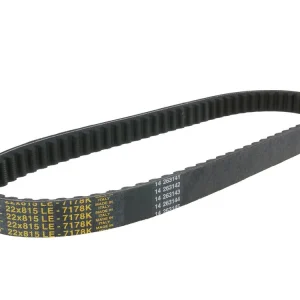 V-snaar Dayco 815-22 Power Plus voor Peugeot Looxor 125, 150, Yamaha XC 150 Fly One Beste Prijs