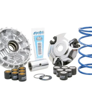 Vario Polini Maxi Hi-Speed voor Piaggio Fly, Liberty, Vespa Primavera, Sprint 125ie, 150ie 3V Bestseller