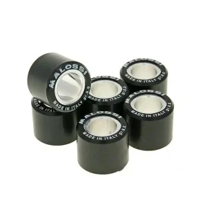 Variorollen Malossi HT 20x17mm - 8,0g Express Levering