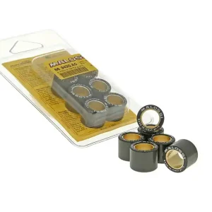 Populair Variorollen Malossi HT 16x13mm - 3,9g