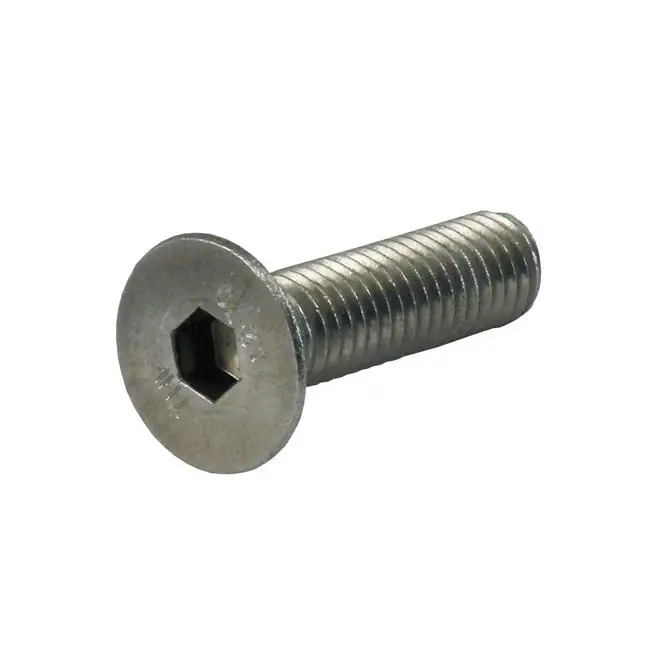 GW platte inbusbout roestvrij M8 5-pak 12mm Flitsaanbieding
