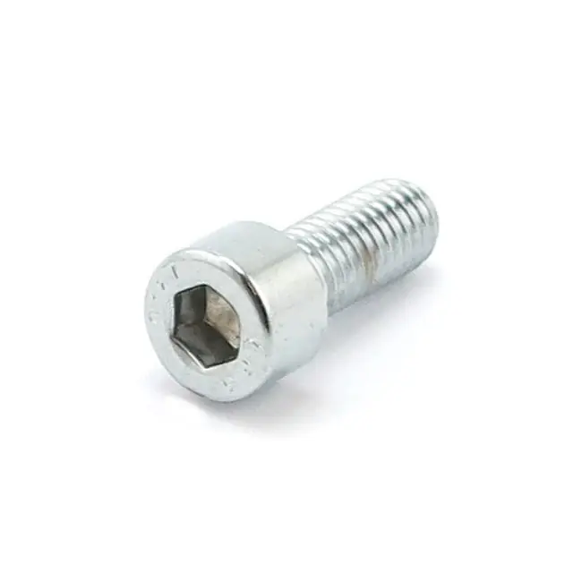 Colony inbusbout gepolijst chroom M8 10-voudig 20mm Gratis Retour